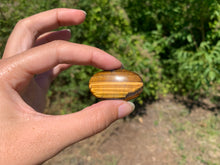 Charger l'image dans la galerie, Oeil de tigre 33