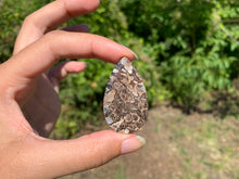 Charger l'image dans la galerie, Jaspe à turritelles 18