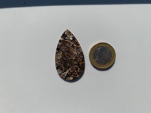 Charger l'image dans la galerie, Jaspe à turritelles 18