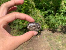 Charger l'image dans la galerie, Jaspe à turritelles 19