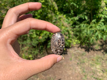 Charger l'image dans la galerie, Jaspe à turritelles 19