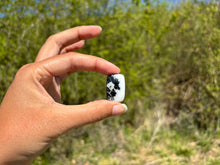 Charger l'image dans la galerie, Jaspe Zebré 9