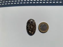 Charger l'image dans la galerie, Jaspe à turritelles 19