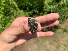 Charger l'image dans la galerie, Jaspe à turritelles 20