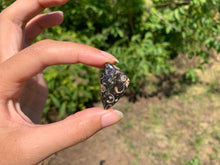 Charger l'image dans la galerie, Jaspe à turritelles 20