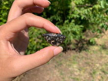Charger l'image dans la galerie, Jaspe à turritelles 20