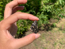 Charger l'image dans la galerie, Jaspe à turritelles 20