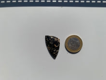 Charger l'image dans la galerie, Jaspe à turritelles 20