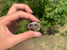 Charger l'image dans la galerie, Jaspe à turritelles 21