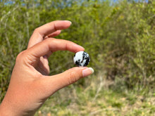 Charger l'image dans la galerie, Jaspe Zebré 10