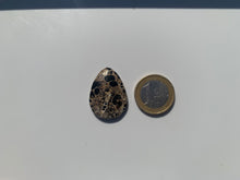 Charger l'image dans la galerie, Jaspe à turritelles 21