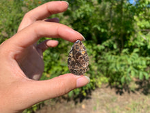 Charger l'image dans la galerie, Jaspe à turritelles 23