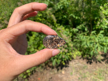 Charger l'image dans la galerie, Jaspe à turritelles 23