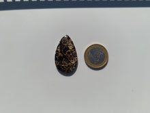 Charger l'image dans la galerie, Jaspe à turritelles 23