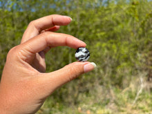 Charger l'image dans la galerie, Jaspe Zebré 12