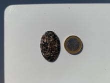 Charger l'image dans la galerie, Jaspe à turritelles 24