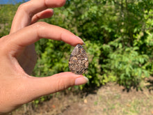 Charger l'image dans la galerie, Jaspe à turritelles 25