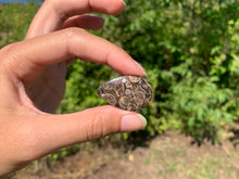 Charger l'image dans la galerie, Jaspe à turritelles 25