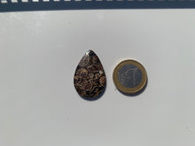 Charger l'image dans la galerie, Jaspe à turritelles 25