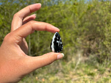 Charger l'image dans la galerie, Jaspe Zebré 13