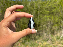 Charger l'image dans la galerie, Jaspe Zebré 15