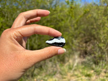 Charger l'image dans la galerie, Jaspe Zebré 15