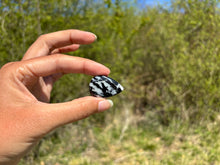 Charger l'image dans la galerie, Jaspe Zebré 16