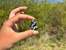 Charger l'image dans la galerie, Jaspe Zebré 16