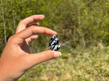 Charger l'image dans la galerie, Jaspe Zebré 16