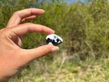 Charger l'image dans la galerie, Jaspe Zebré 19