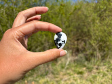 Charger l'image dans la galerie, Jaspe Zebré 19