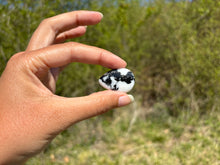 Charger l'image dans la galerie, Jaspe Zebré 19