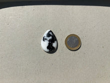 Charger l'image dans la galerie, Jaspe Zebré 19