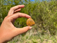 Charger l'image dans la galerie, Jaspe Mariam 16