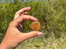 Charger l'image dans la galerie, Jaspe Mariam 16