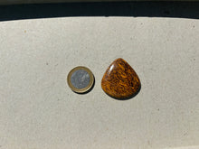 Charger l'image dans la galerie, Jaspe Mariam 16