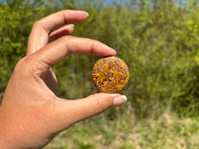 Charger l'image dans la galerie, Jaspe Mariam 17