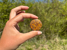 Charger l'image dans la galerie, Jaspe Mariam 17