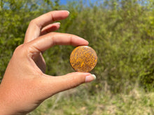 Charger l'image dans la galerie, Jaspe Mariam 18