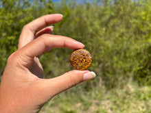Charger l'image dans la galerie, Jaspe Mariam 19
