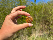 Charger l'image dans la galerie, Jaspe Mariam 19