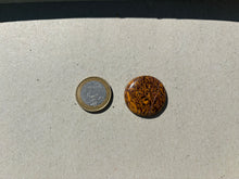 Charger l'image dans la galerie, Jaspe Mariam 19