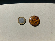 Charger l'image dans la galerie, Jaspe Mariam 20