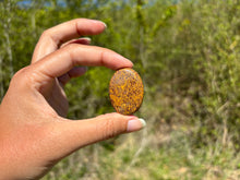 Charger l'image dans la galerie, Jaspe Mariam 21