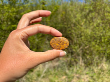 Charger l'image dans la galerie, Jaspe Mariam 21