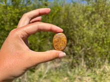 Charger l'image dans la galerie, Jaspe Mariam 21