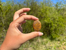 Charger l'image dans la galerie, Jaspe Mariam 21