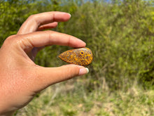 Charger l'image dans la galerie, Jaspe Mariam 22