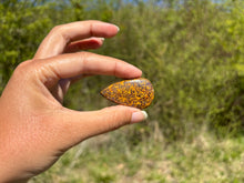 Charger l'image dans la galerie, Jaspe Mariam 23