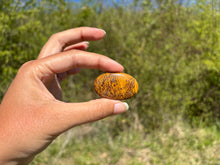 Charger l'image dans la galerie, Jaspe Mariam 24